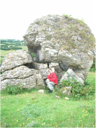 Image of cat stone at uisneach co westmeth Ireland